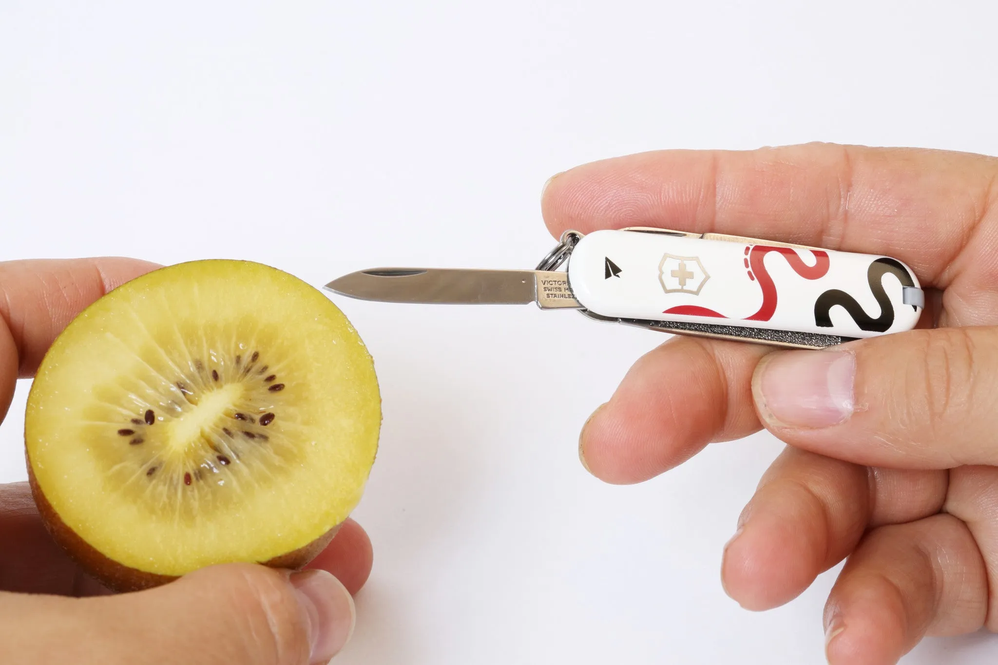 Small Pocket Knife