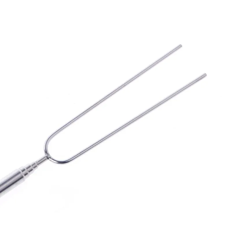 Stainless Steel BBQ Marshmallow Roasting Stick