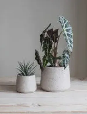 Stratton Tapered Pot Large