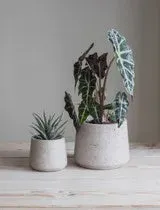 Stratton Tapered Pot Large